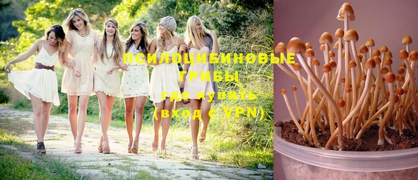 кокс Усмань